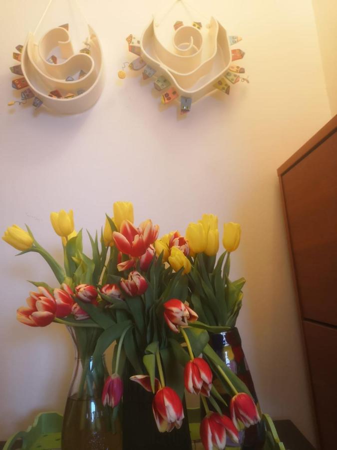 וודיצה Apartments M&R Spadina מראה חיצוני תמונה